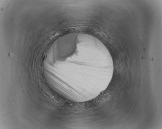 X0000072951009200608111620