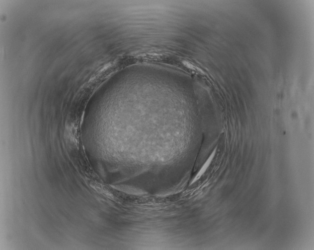 X0000072951010200608111620