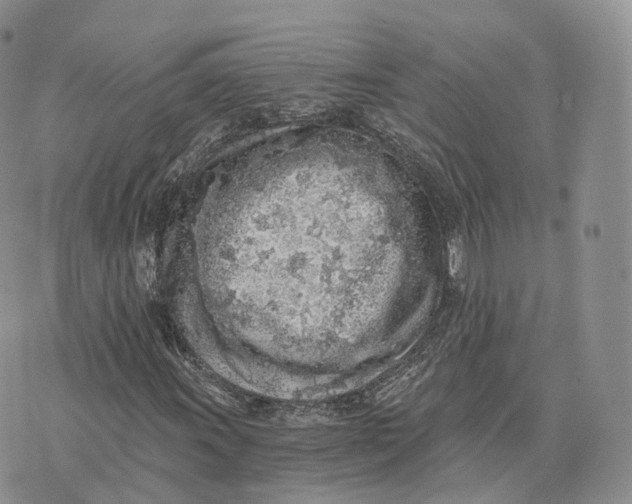 X0000072951011200608111620