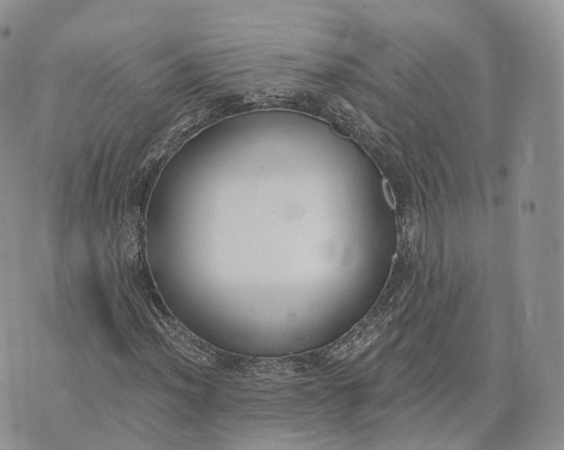 X0000072951012200608111620