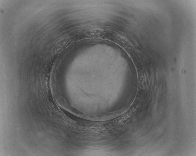 X0000072951013200608111620