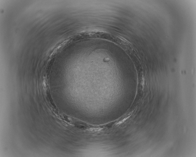 X0000072951014200608111620