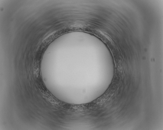 X0000072951015200608111620