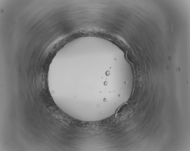 X0000072951016200608111620