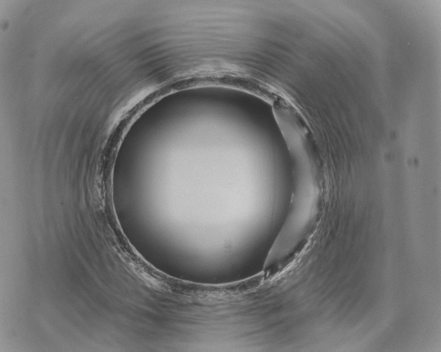 X0000072951018200608111620