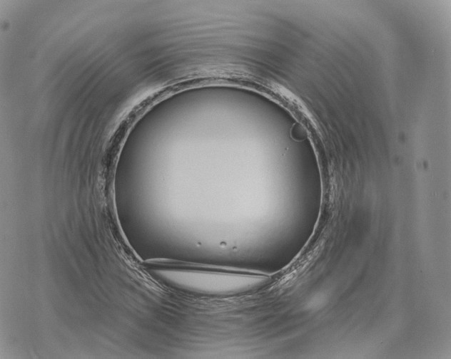 X0000072951019200608111620