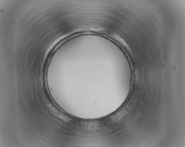 X0000072951020200608111620