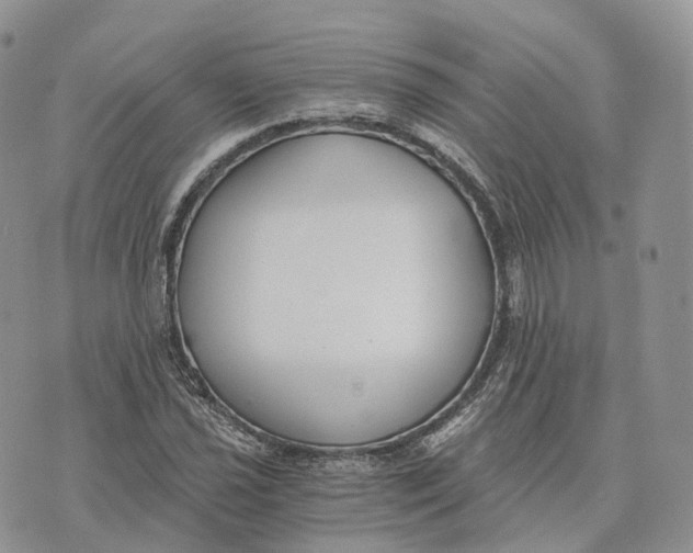 X0000072951021200608111620