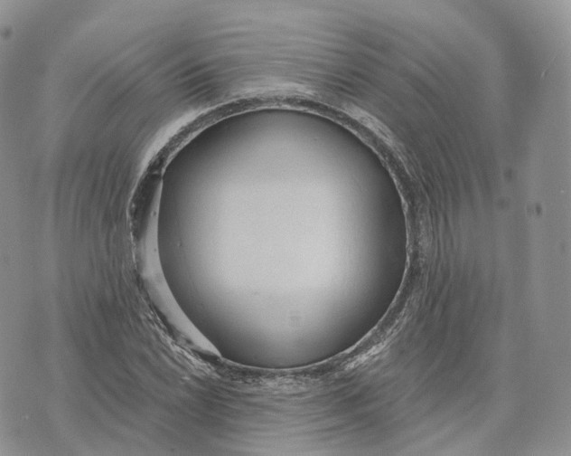 X0000072951022200608111620