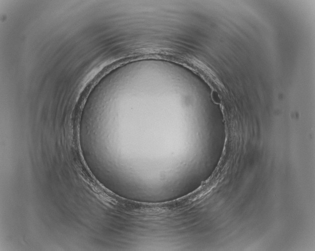 X0000072951023200608111620