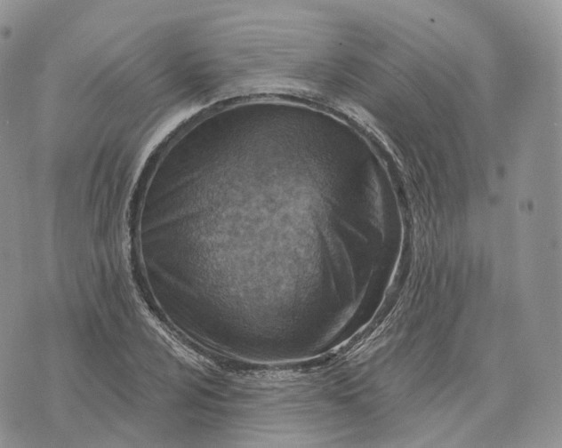 X0000072951024200608111620