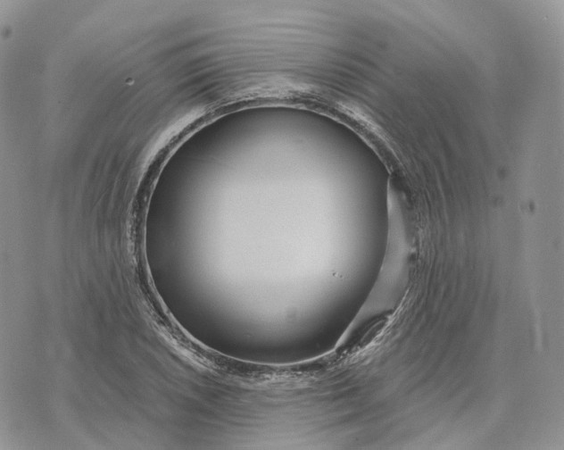 X0000072951026200608111620