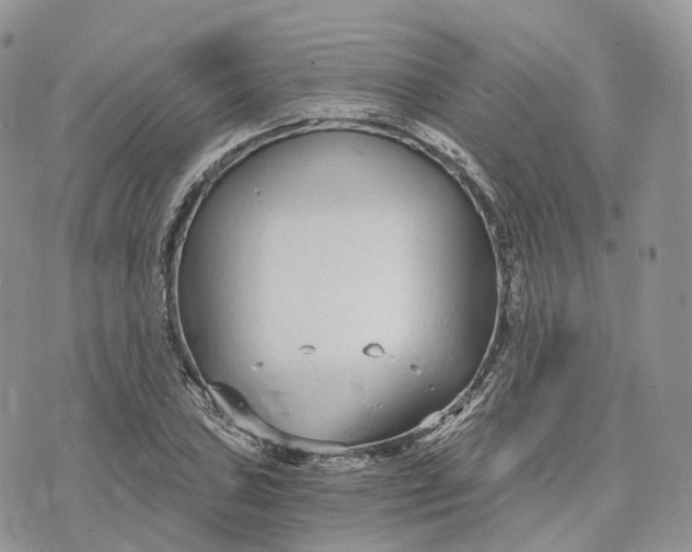 X0000072951027200608111620