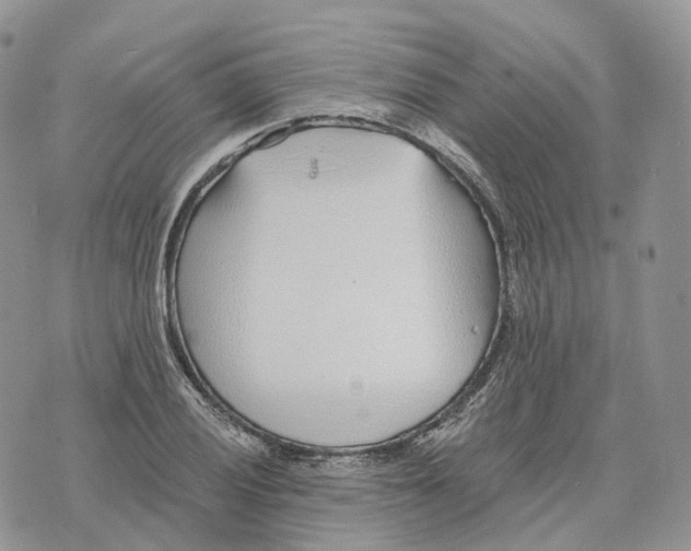 X0000072951028200608111620