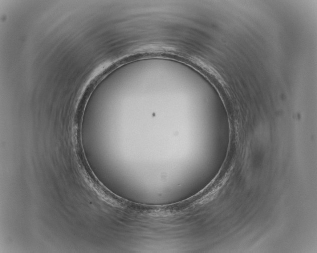 X0000072951029200608111620