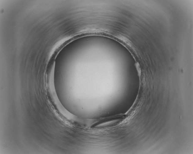 X0000072951030200608111620