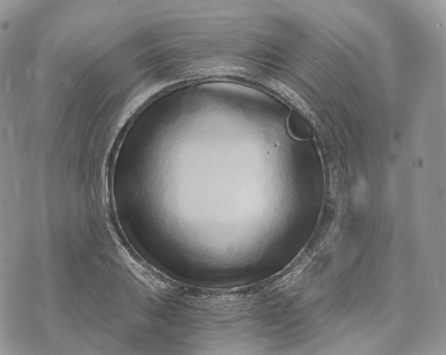 X0000072951031200608111620