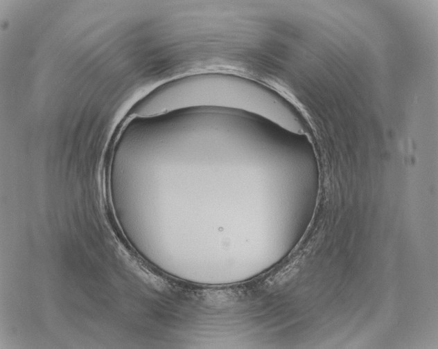 X0000072951032200608111620