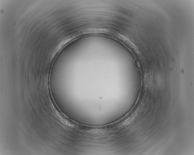 X0000072951033200608111620