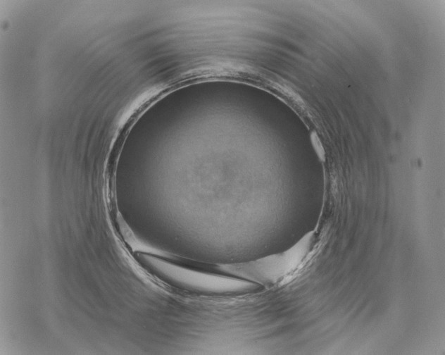 X0000072951034200608111620