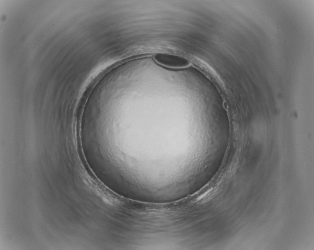 X0000072951035200608111620