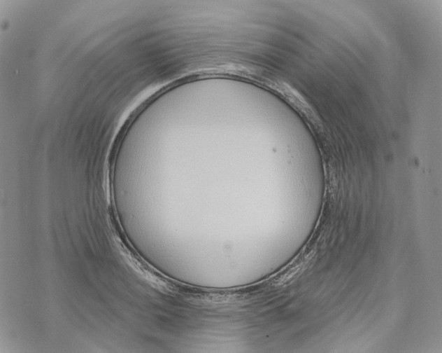 X0000072951036200608111620