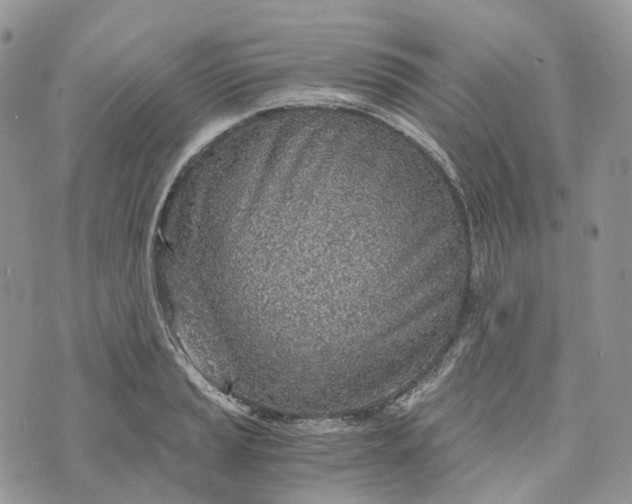 X0000072951037200608111620