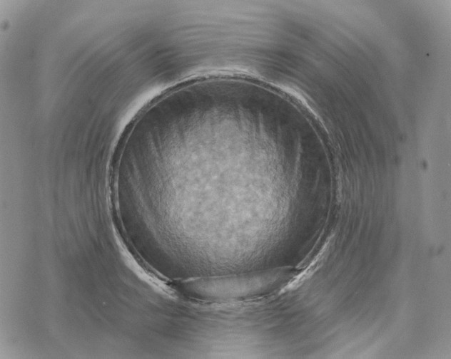 X0000072951038200608111620