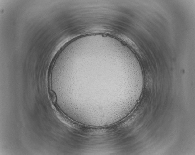 X0000072951039200608111620