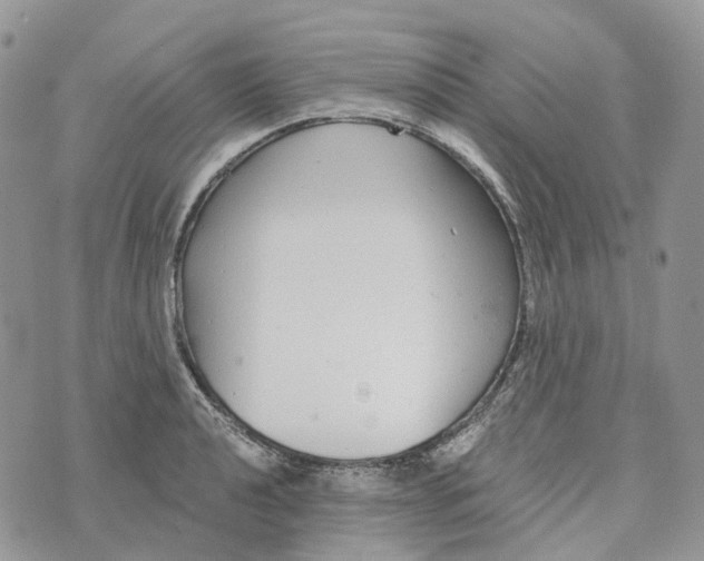 X0000072951040200608111620