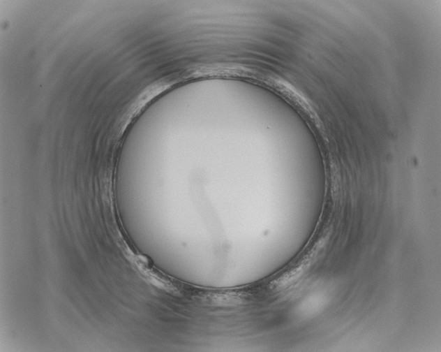 X0000072951041200608111620