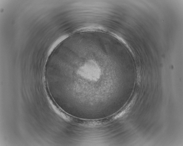 X0000072951042200608111621