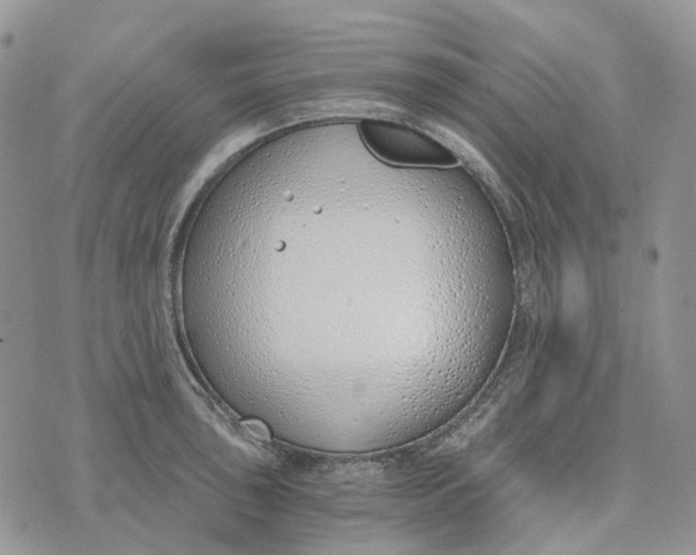 X0000072951043200608111621