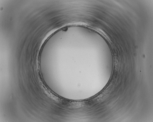 X0000072951044200608111621