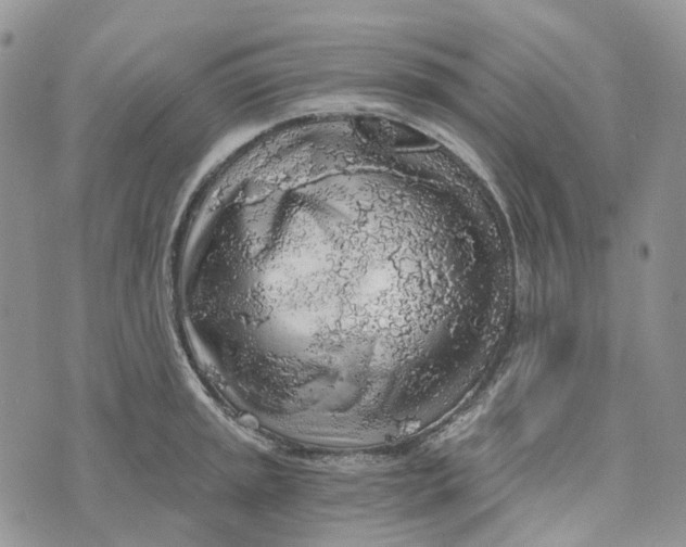 X0000072951045200608111621