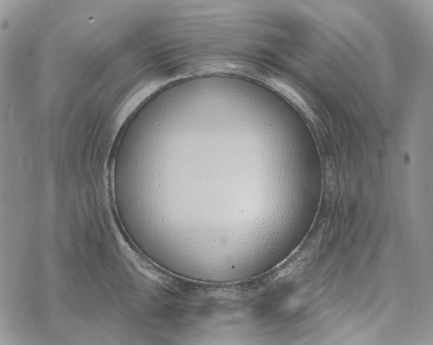 X0000072951047200608111621