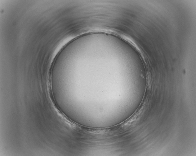 X0000072951048200608111621