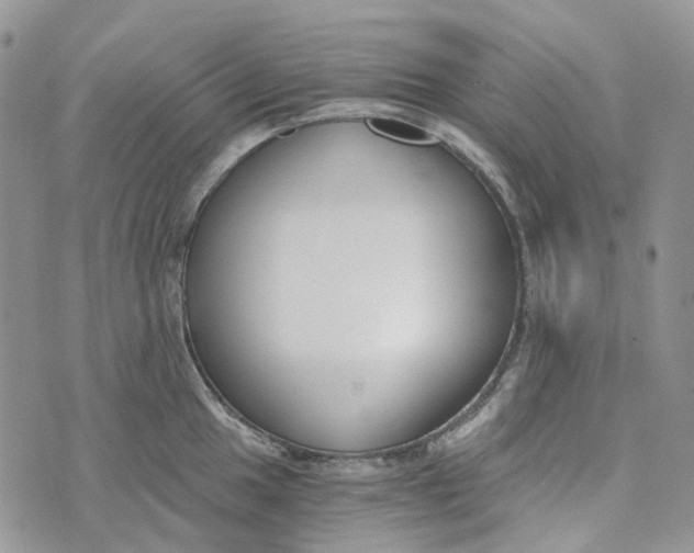 X0000072951049200608111621