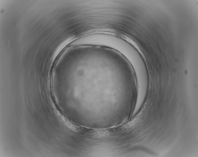 X0000072951050200608111621