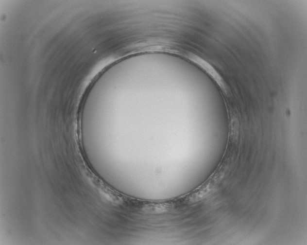 X0000072951051200608111621