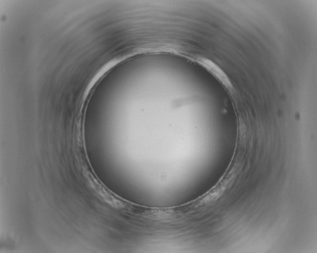 X0000072951052200608111621