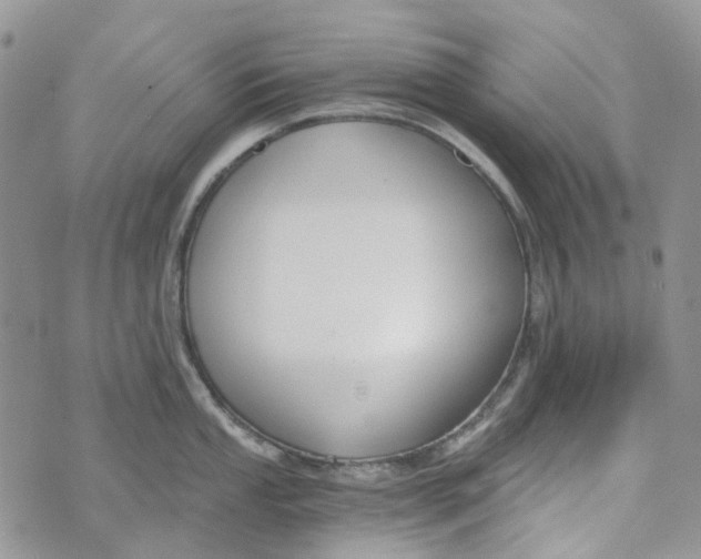 X0000072951053200608111621