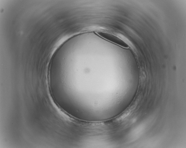 X0000072951055200608111621