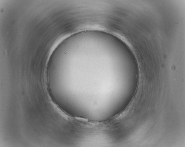 X0000072951056200608111621