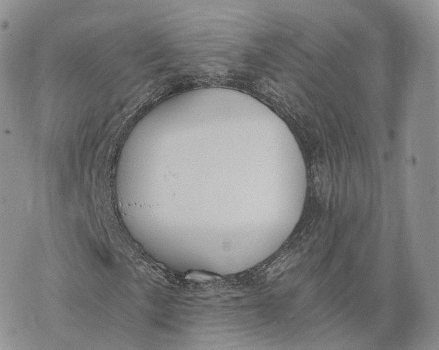 X0000072951057200608111620