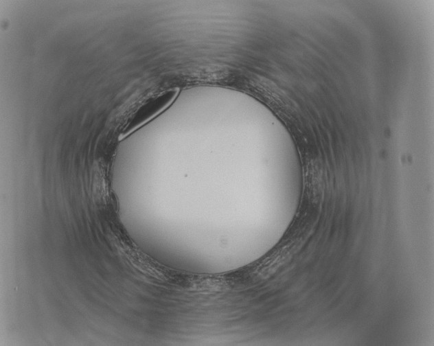 X0000072951058200608111620