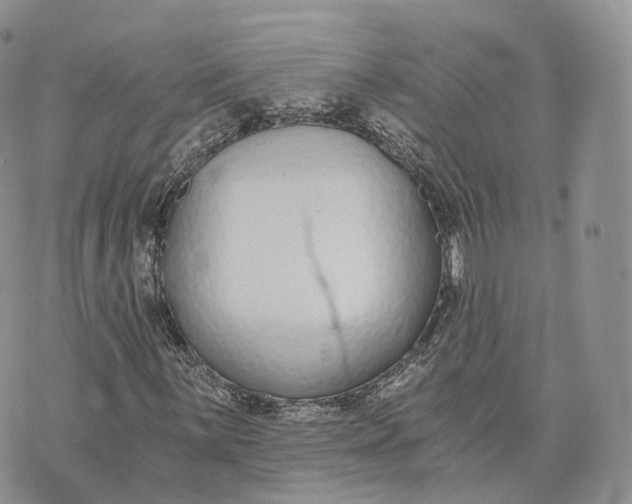 X0000072951059200608111620