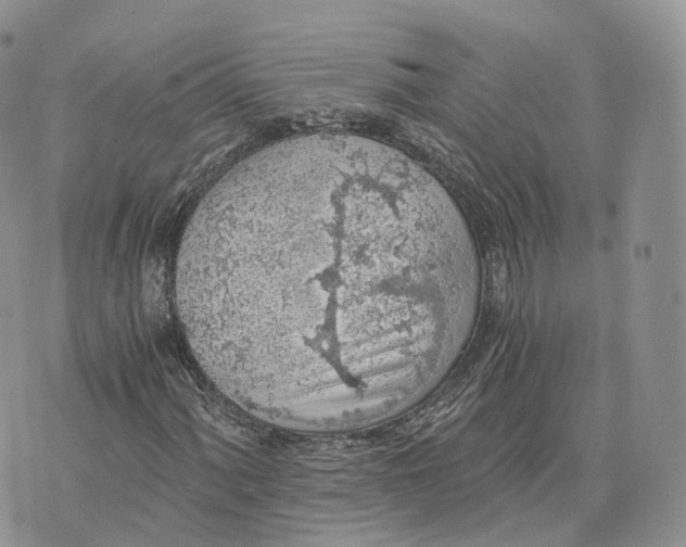 X0000072951060200608111620