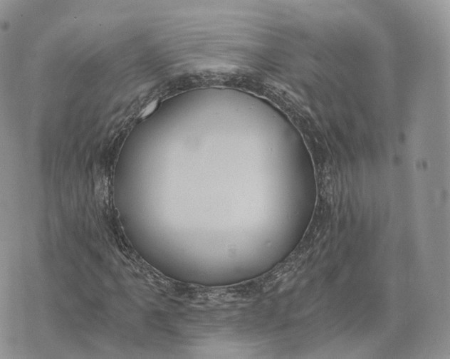 X0000072951061200608111620