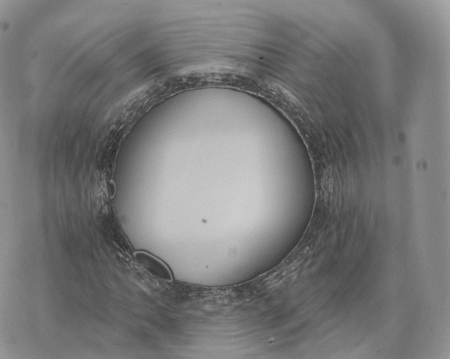 X0000072951062200608111620